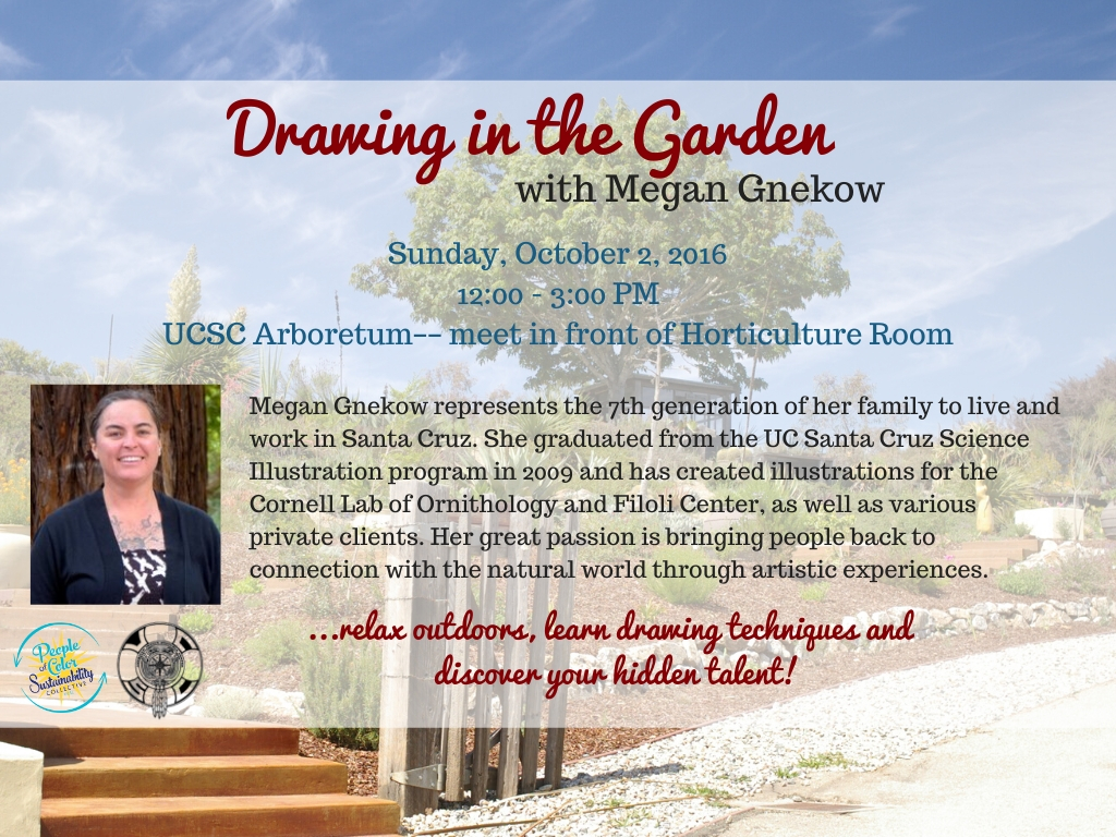 Drawing in the Garden with Megan Gnekow